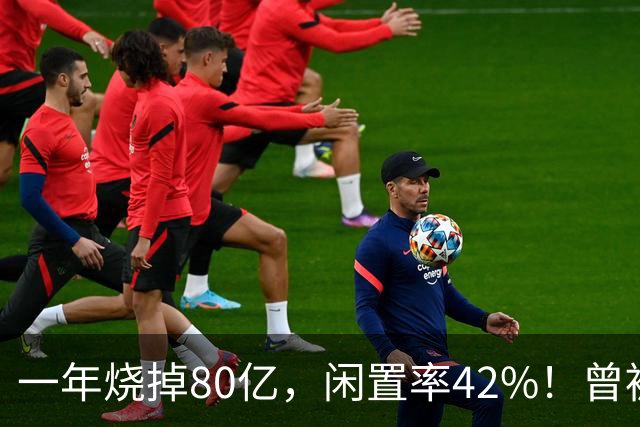 一年烧掉80亿，闲置率42%！曾被捧成香饽饽的生意，怎么不香了？