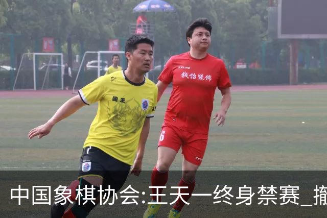 中国象棋协会:王天一终身禁赛 撤销特大等称号