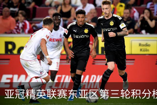亚冠精英联赛东亚区第三轮积分榜：国安不败位列第五，海港第八
