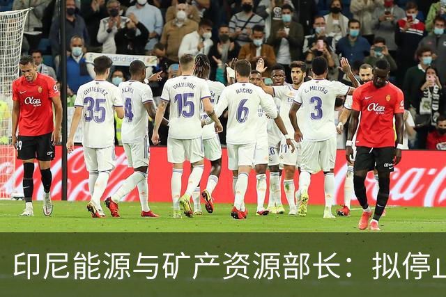 印尼能源与矿产资源部长：拟停止向不尊重印尼的国家供能