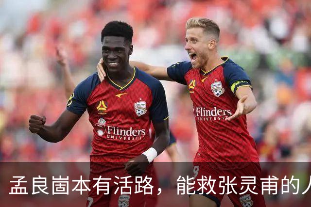 孟良崮本有活路，能救张灵甫的人却被自己人一脚踢开