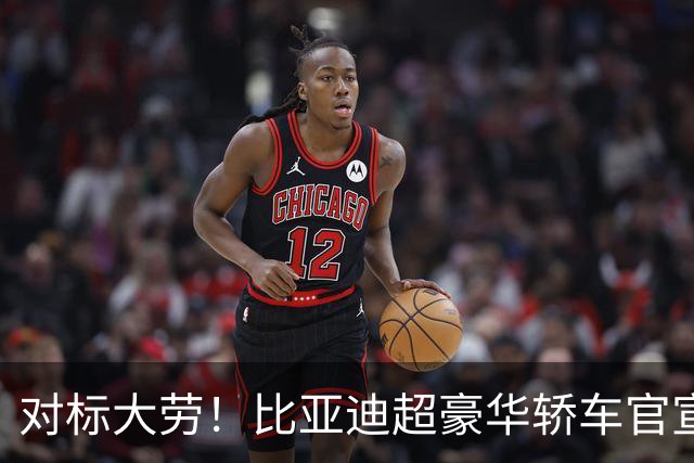 对标大劳！比亚迪超豪华轿车官宣