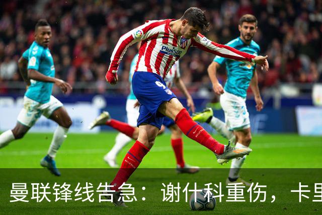 曼联锋线告急：谢什科重伤，卡里克力争取援勒温