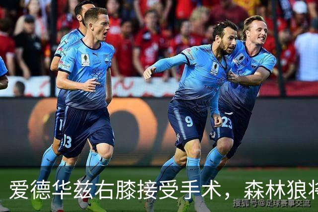 爱德华兹右膝接受手术，森林狼将一次性解决膝伤，预计休战2个月