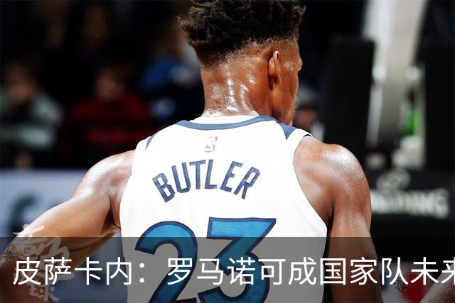 皮萨卡内：罗马诺可成国家队未来