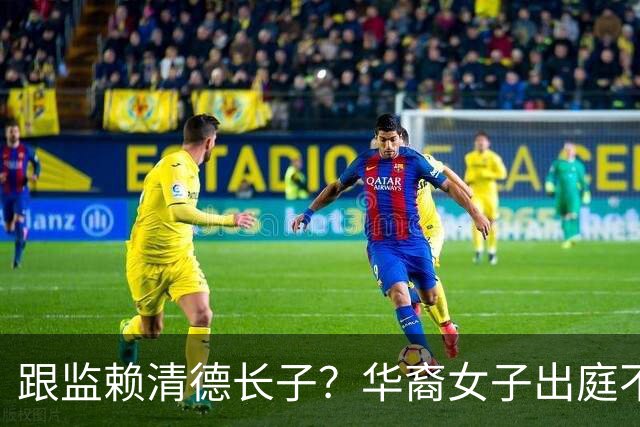 跟监赖清德长子？华裔女子出庭不认罪，最重将被关15年