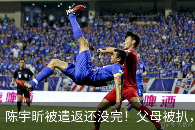 陈宇昕被遣返还没完！父母被扒，扬州公司洗白?背后的人憋不住了